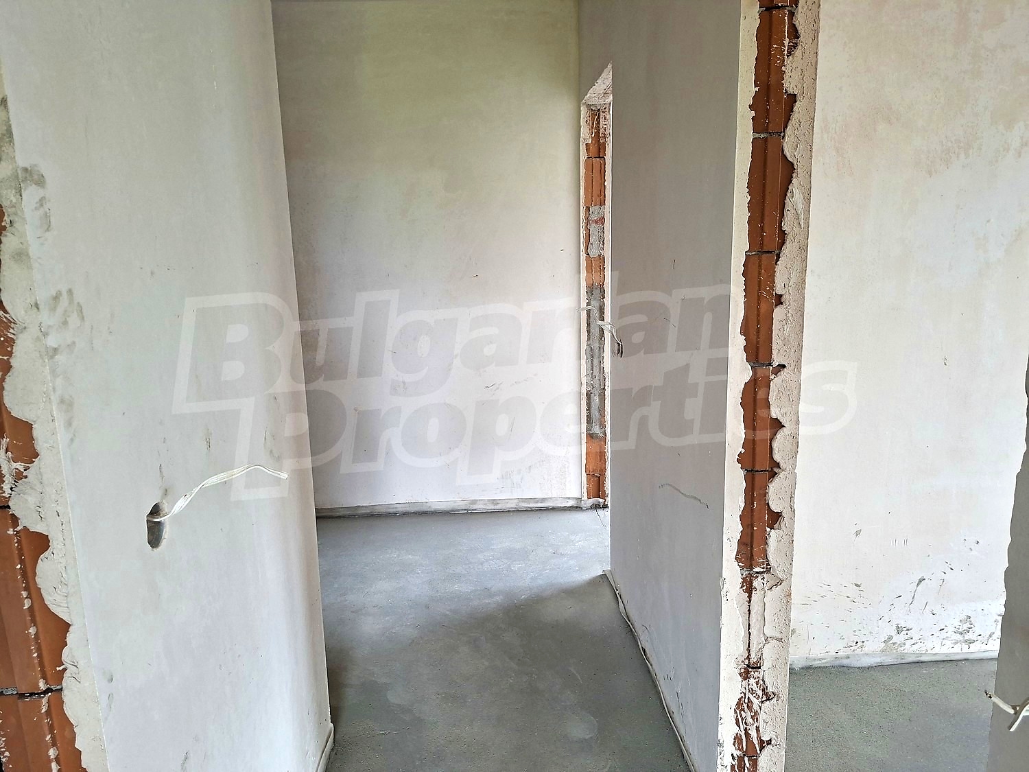 Gallery Picture 14
