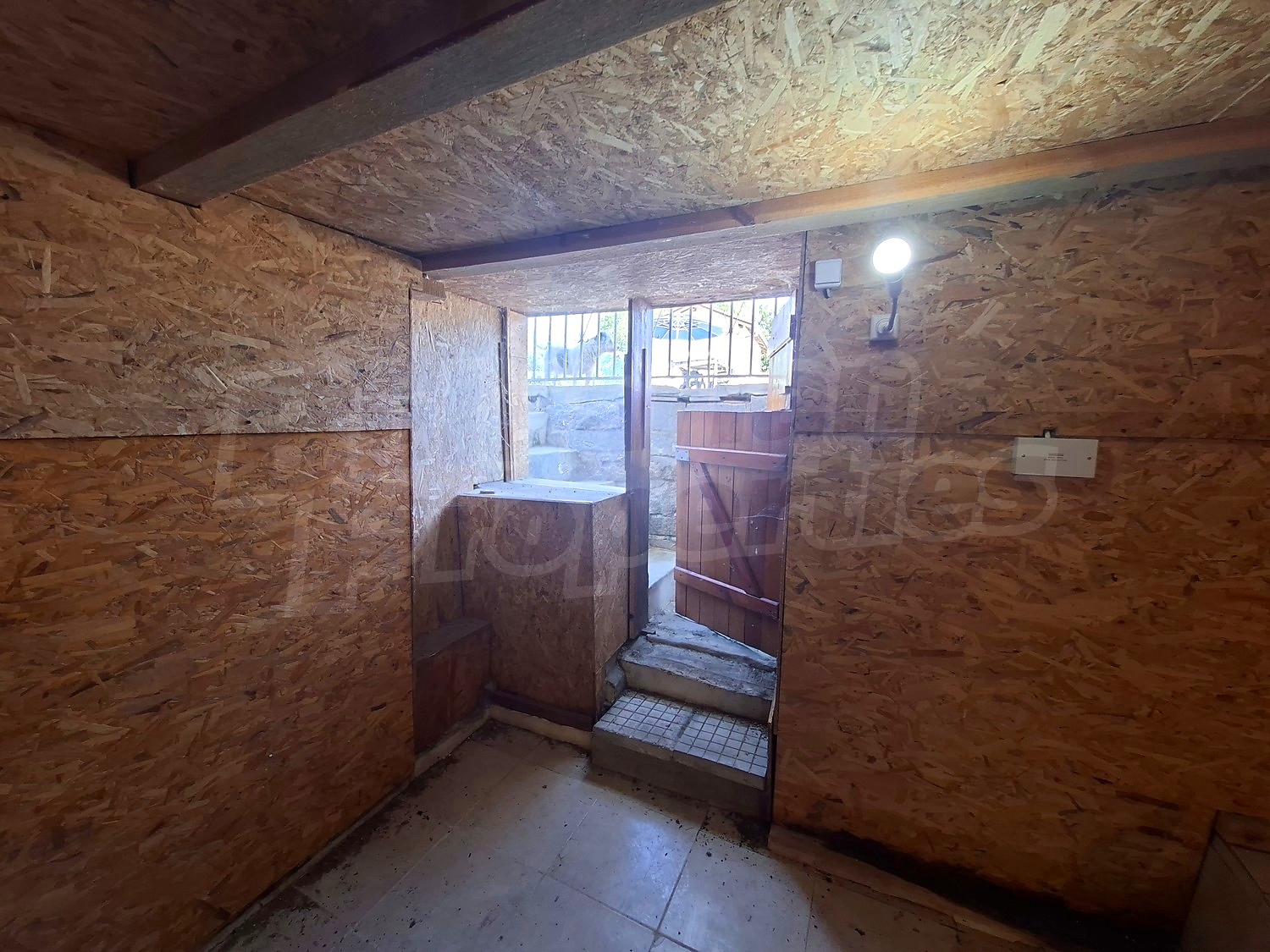 Gallery Picture 37