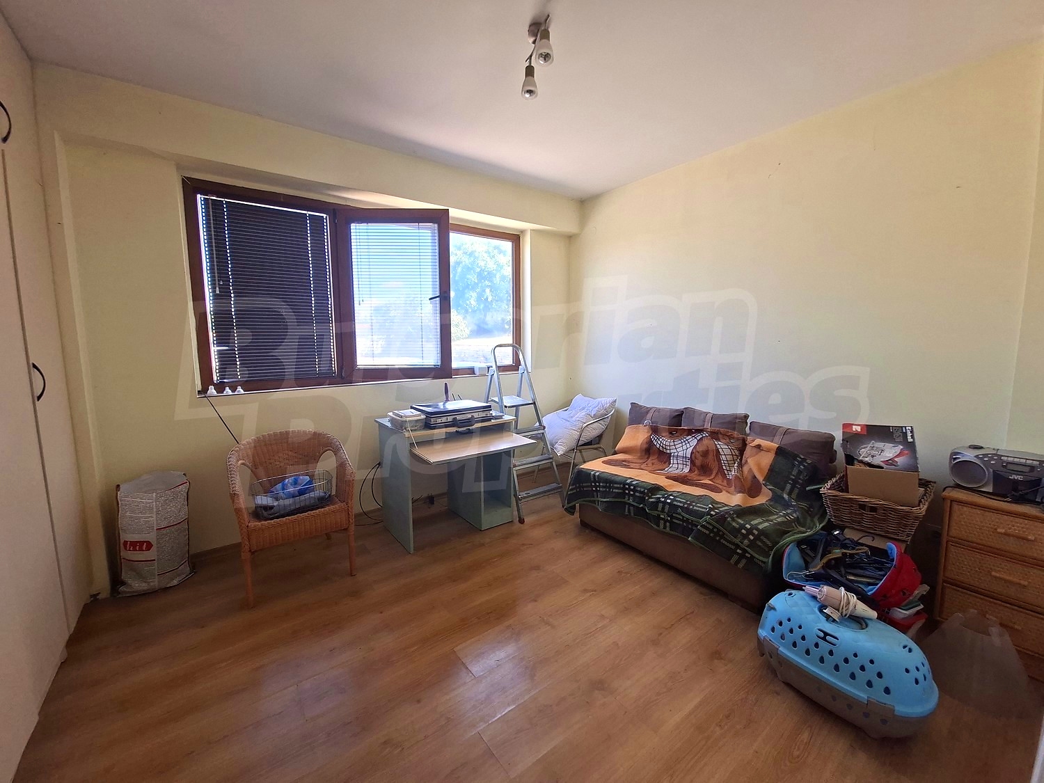 Gallery Picture 18