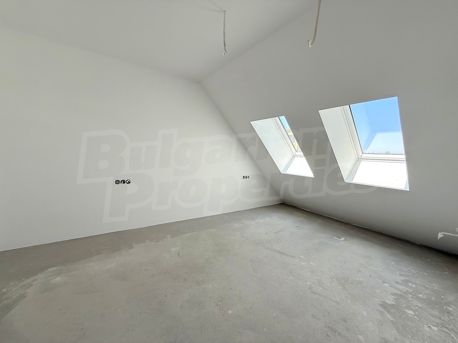 Gallery Picture 43