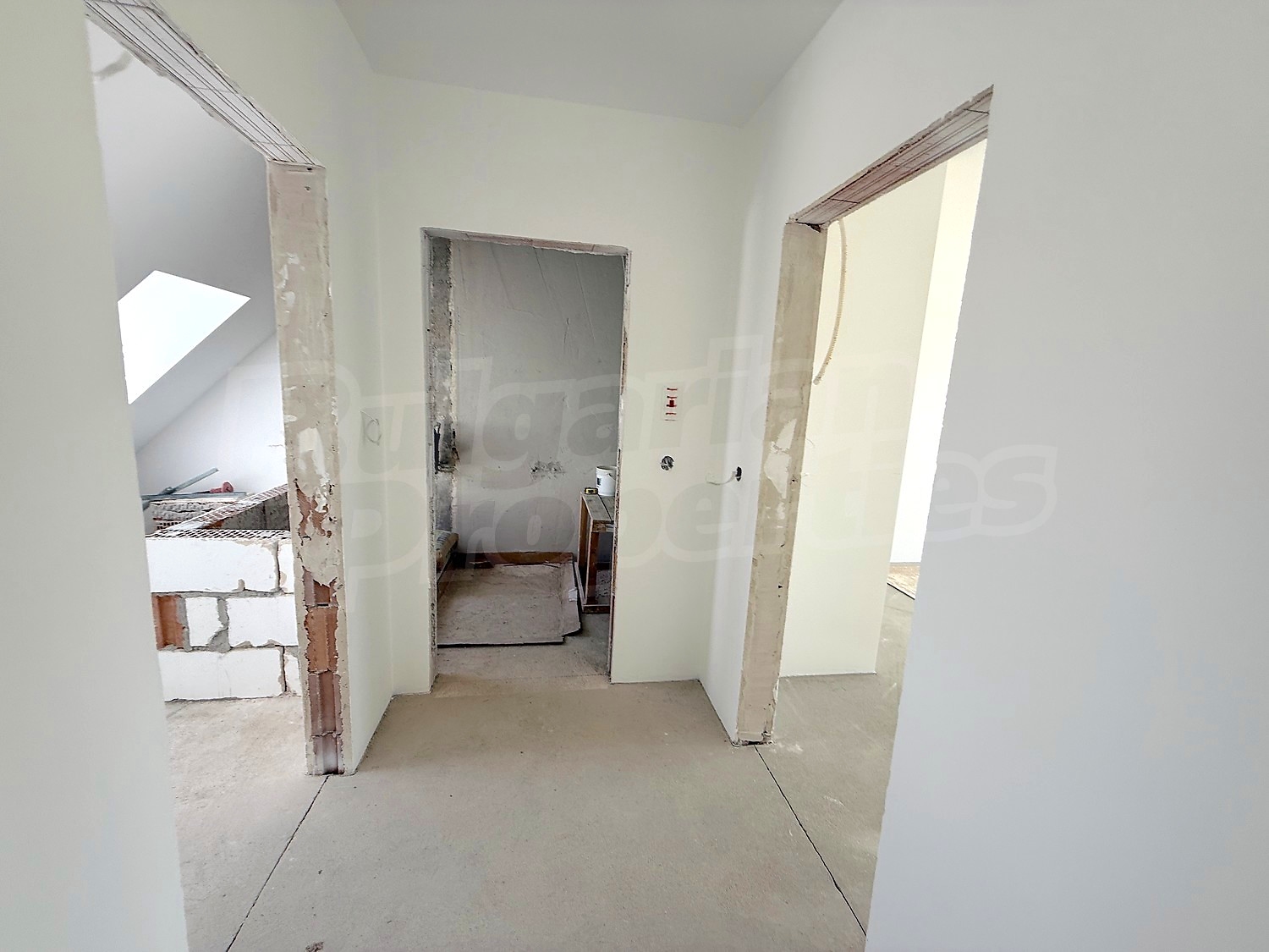 Gallery Picture 46