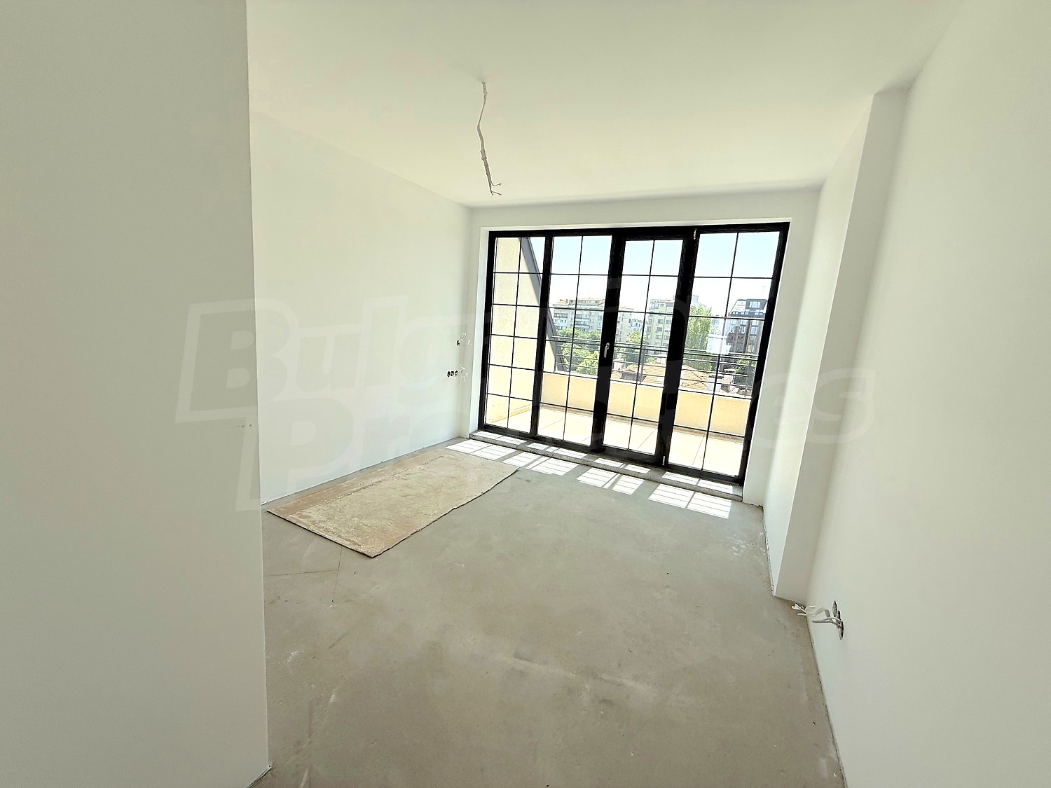 Gallery Picture 47