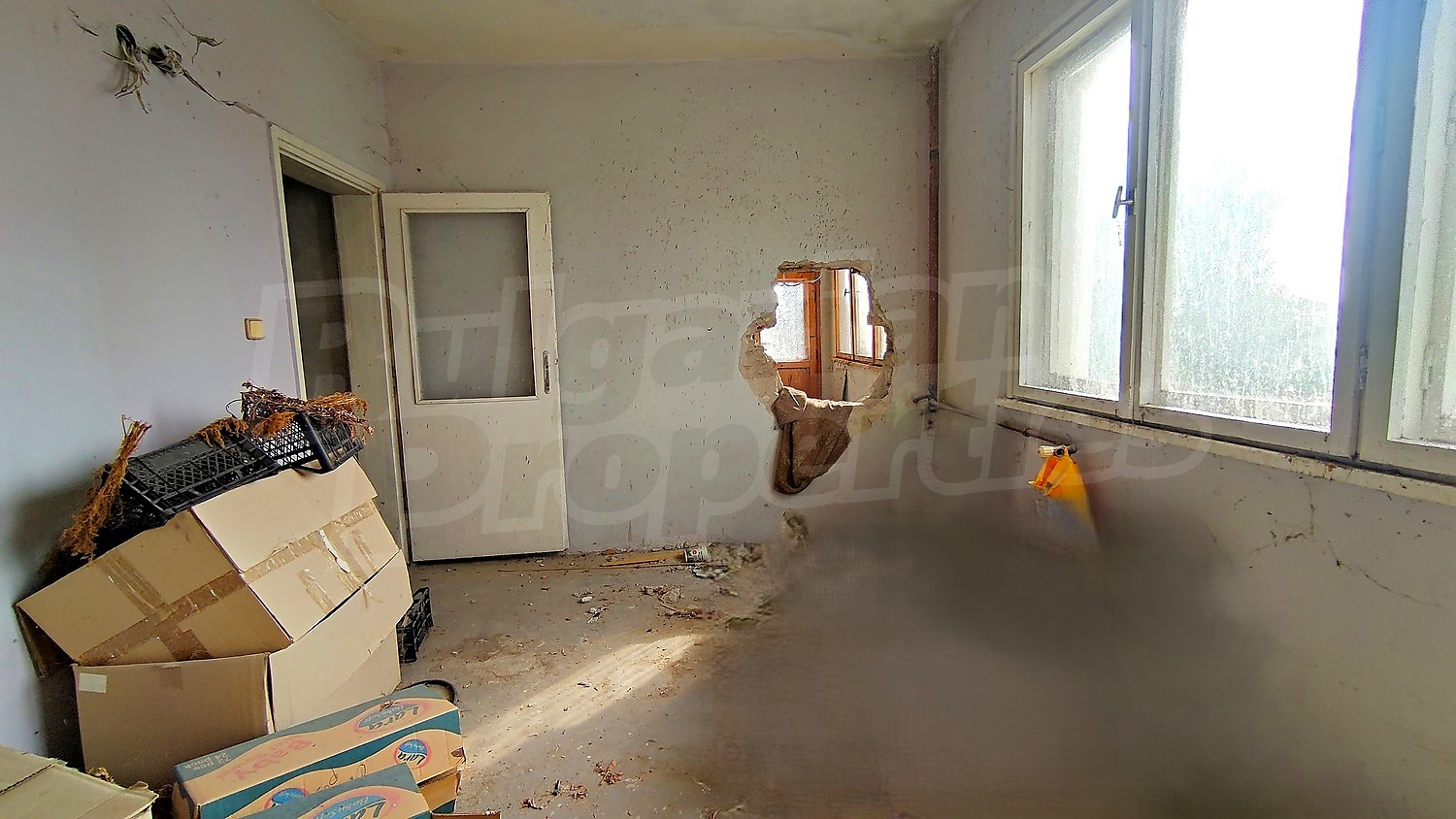 Gallery Picture 17
