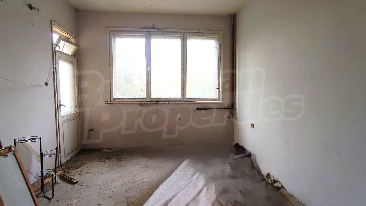 Gallery Picture 14