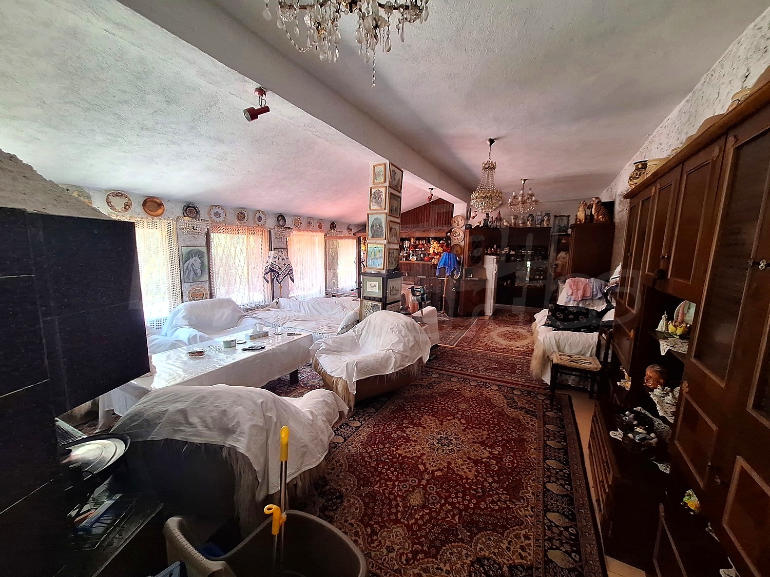 Gallery Picture 23