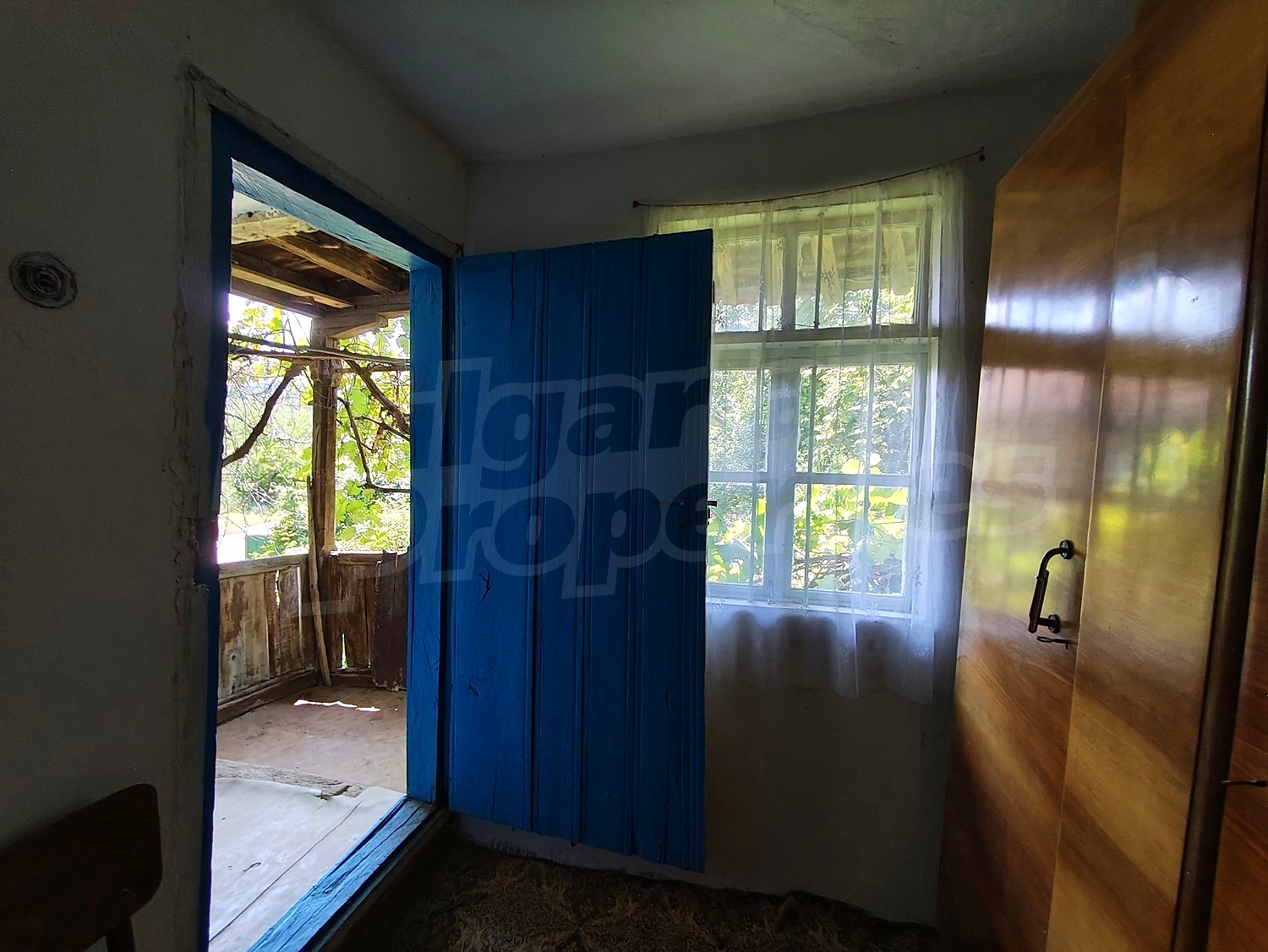 Gallery Picture 16