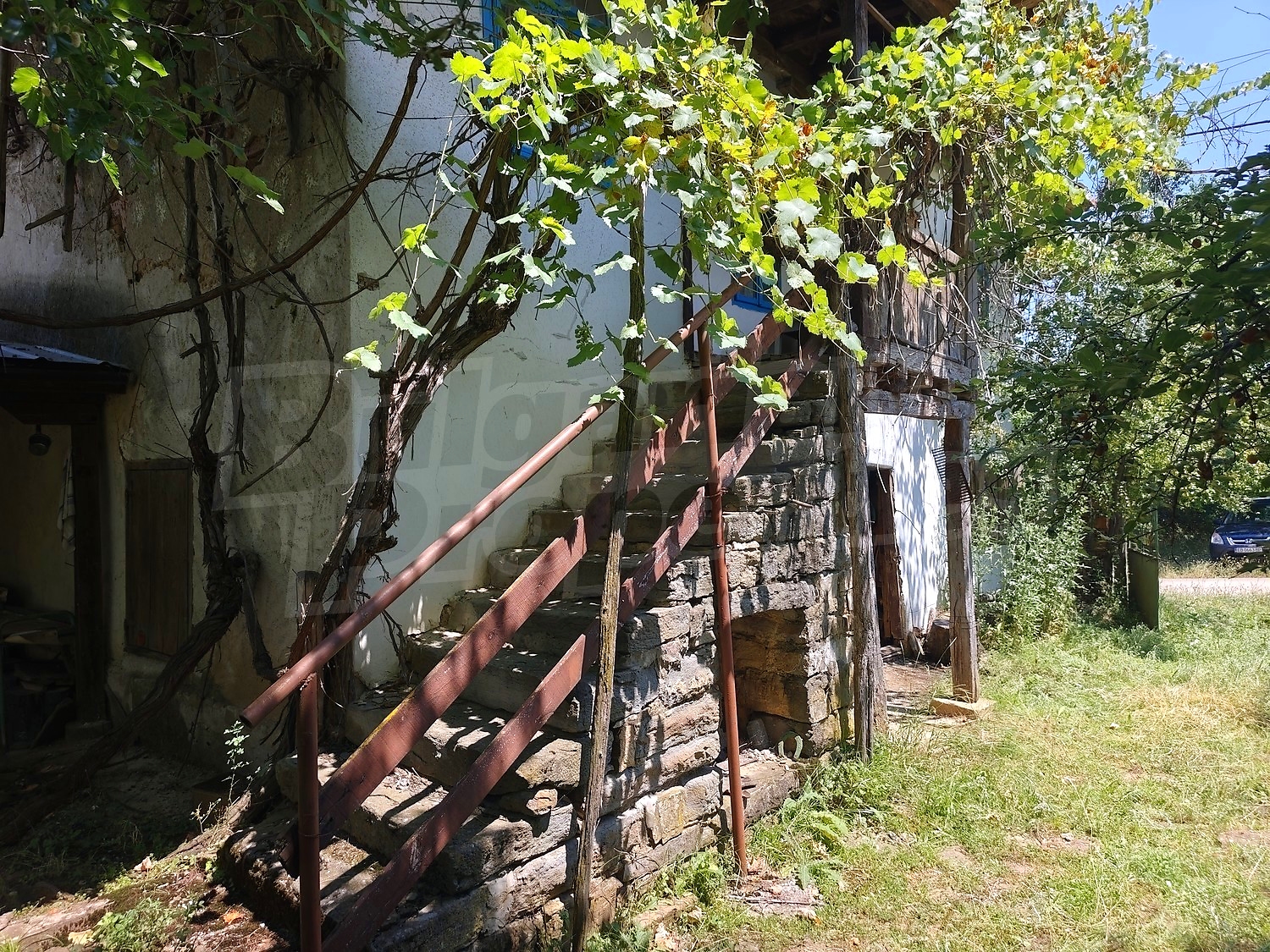 Gallery Picture 8