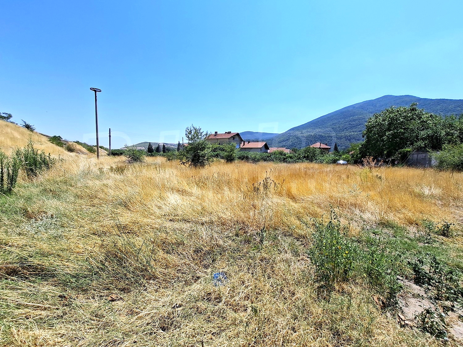 Gallery Picture 5