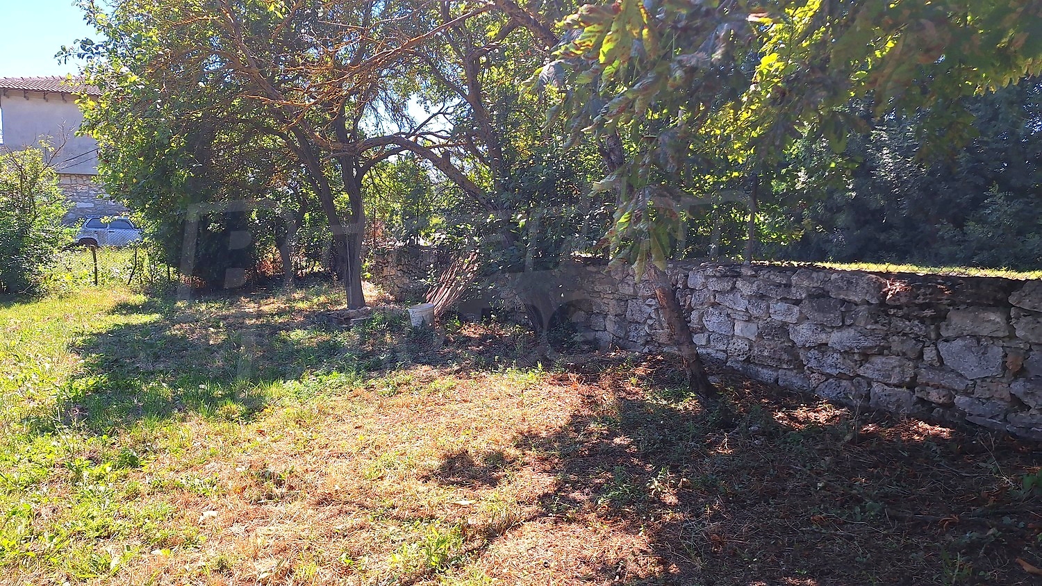Gallery Picture 26