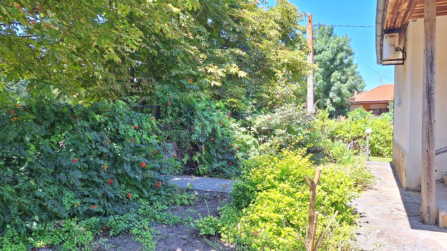 Gallery Picture 28
