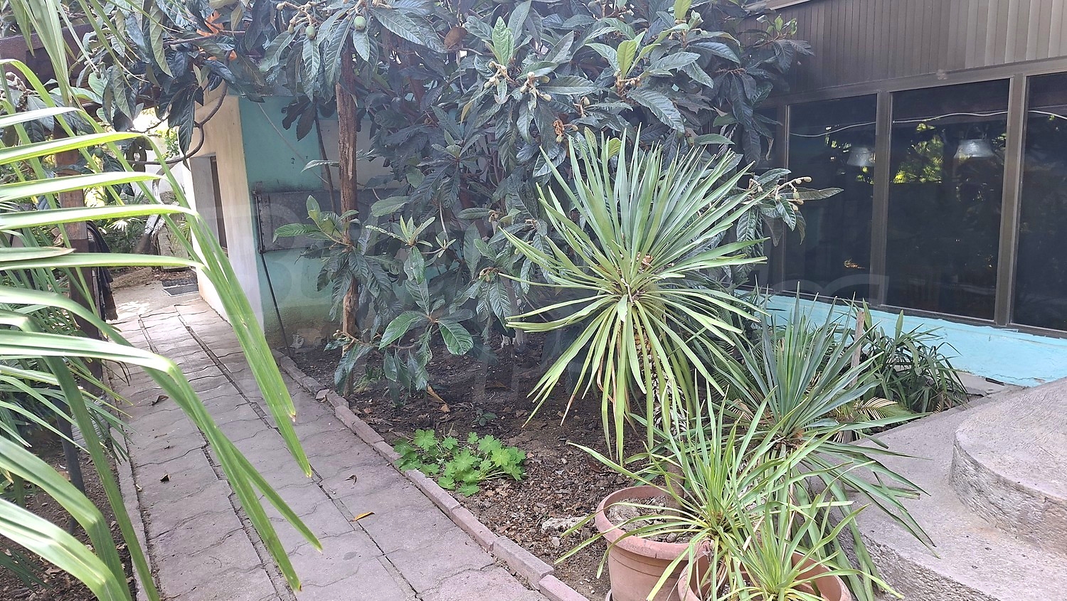 Gallery Picture 15