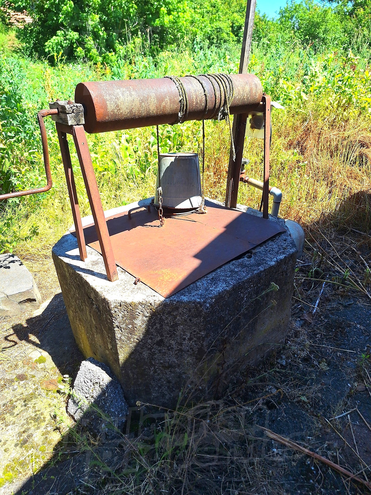 Gallery Picture 14