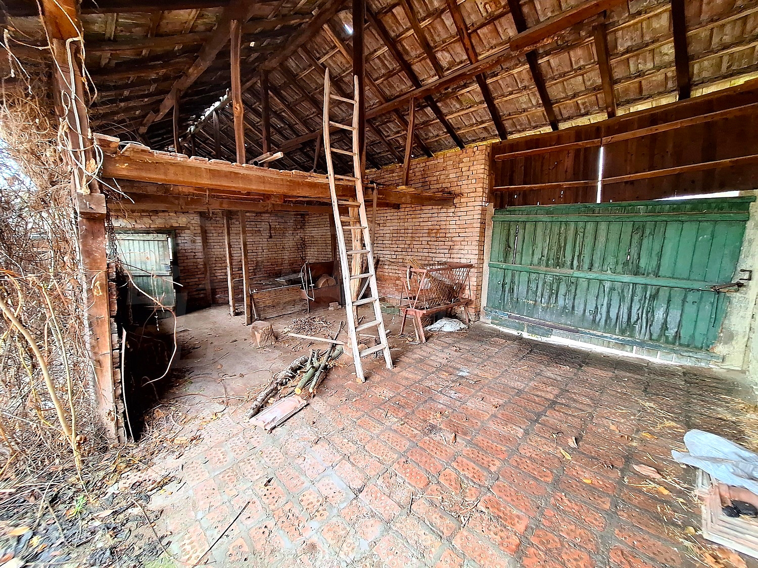 Gallery Picture 5