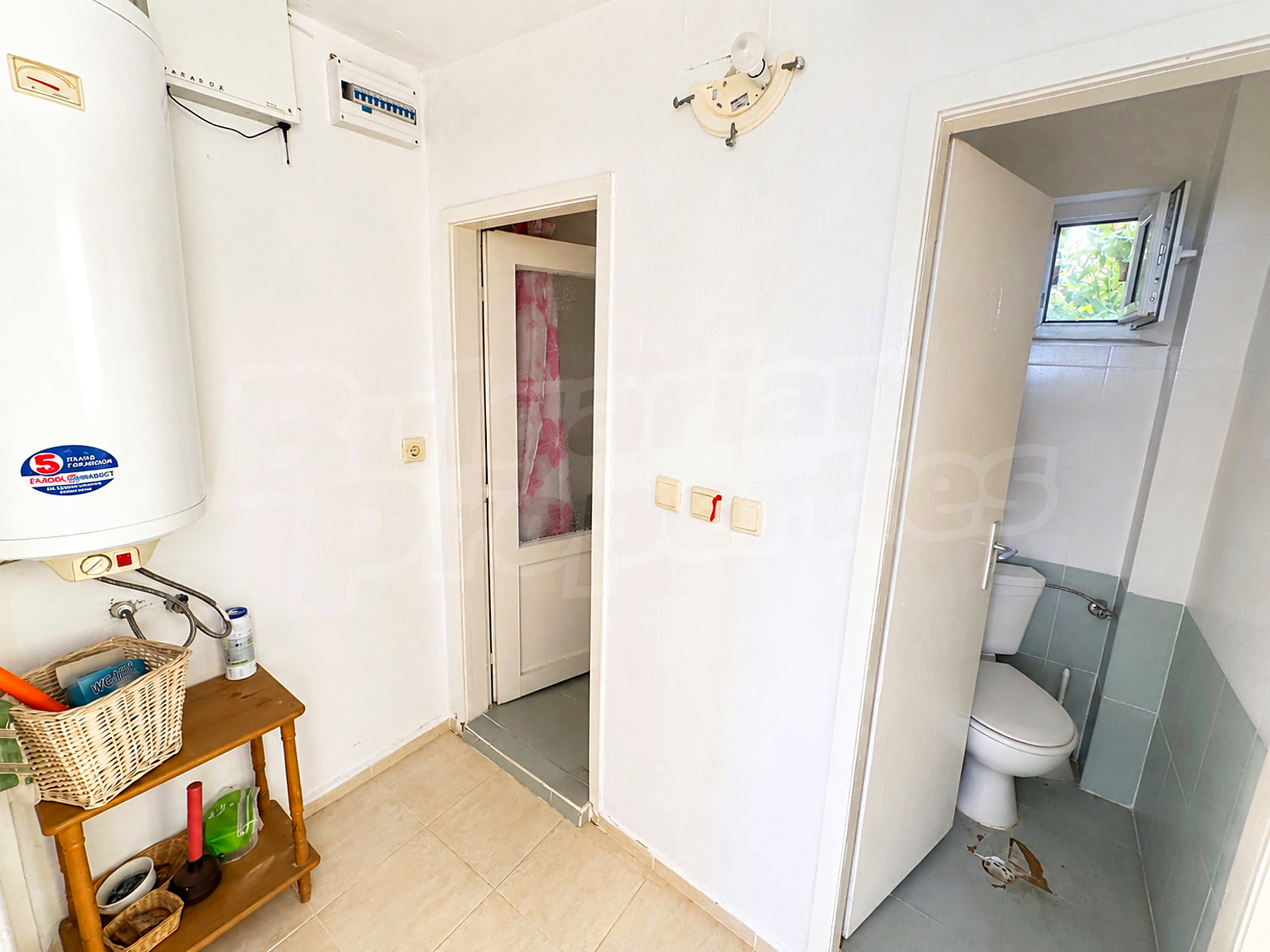 Gallery Picture 19