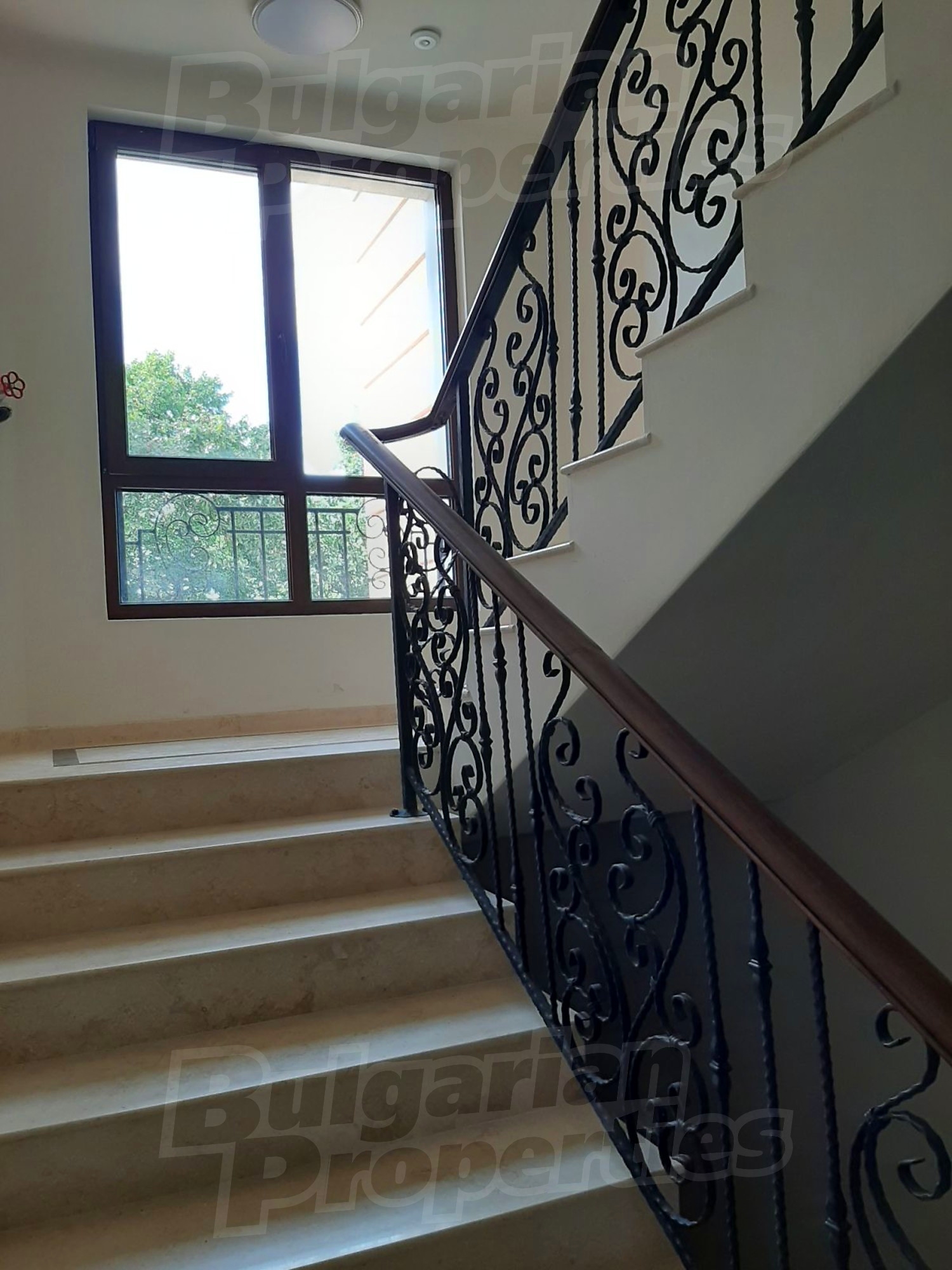 Gallery Picture 19