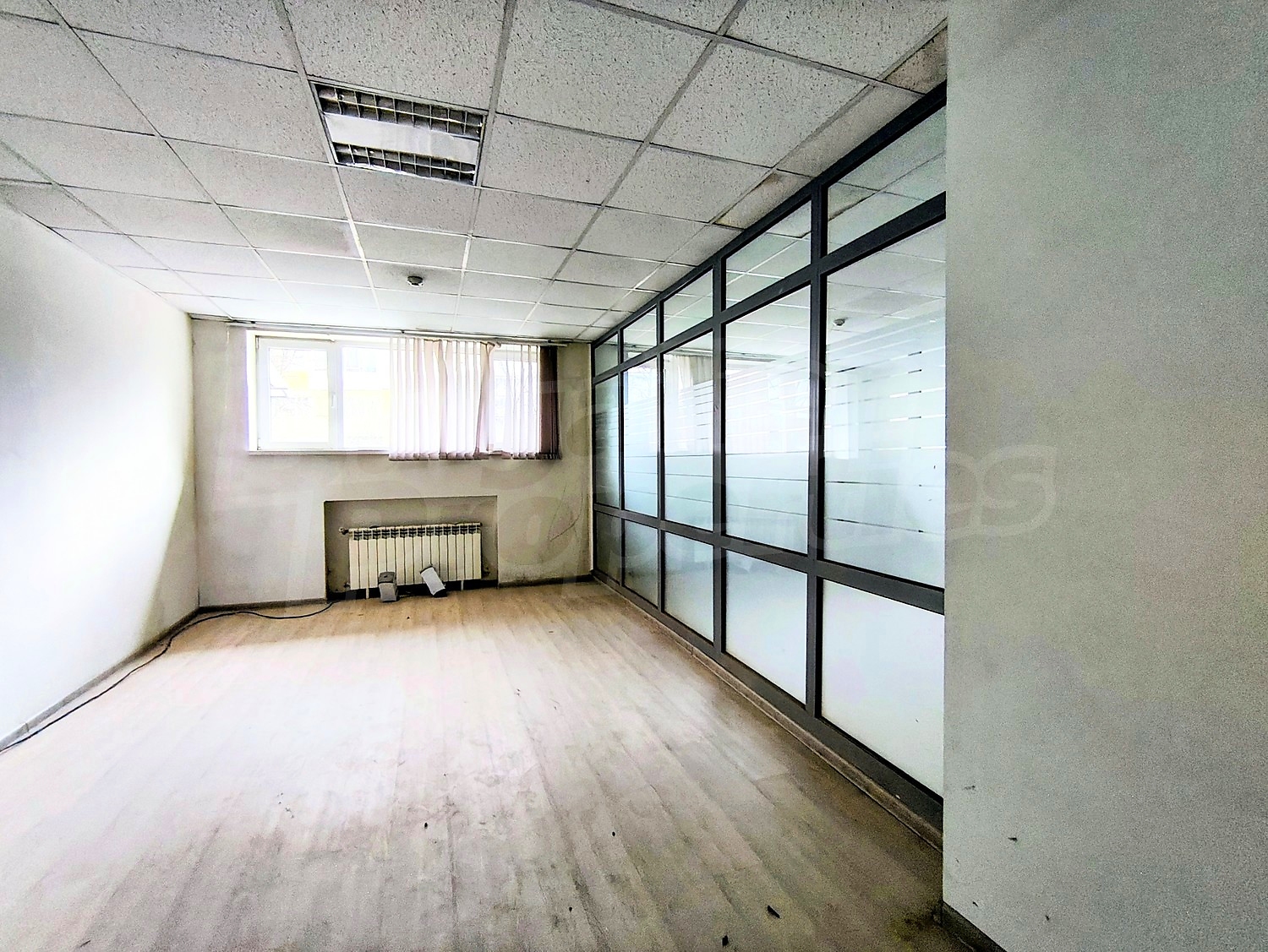 Gallery Picture 6