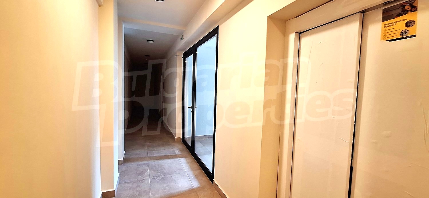 Gallery Picture 19
