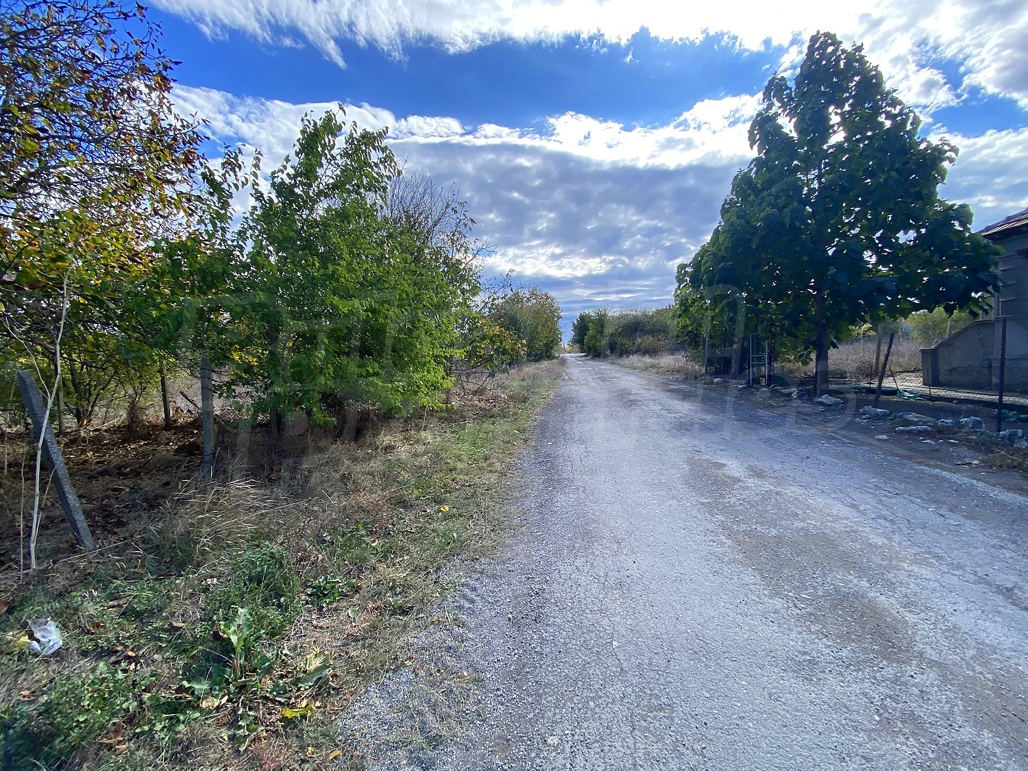 Gallery Picture 11