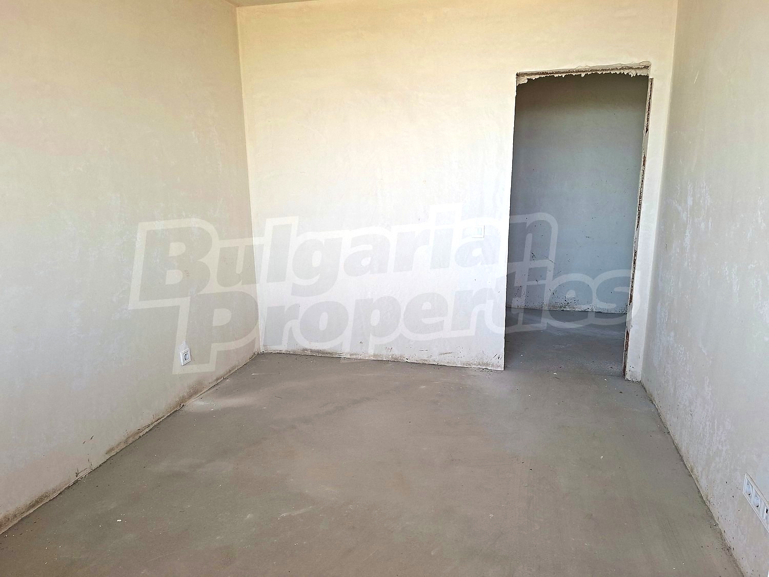 Gallery Picture 14