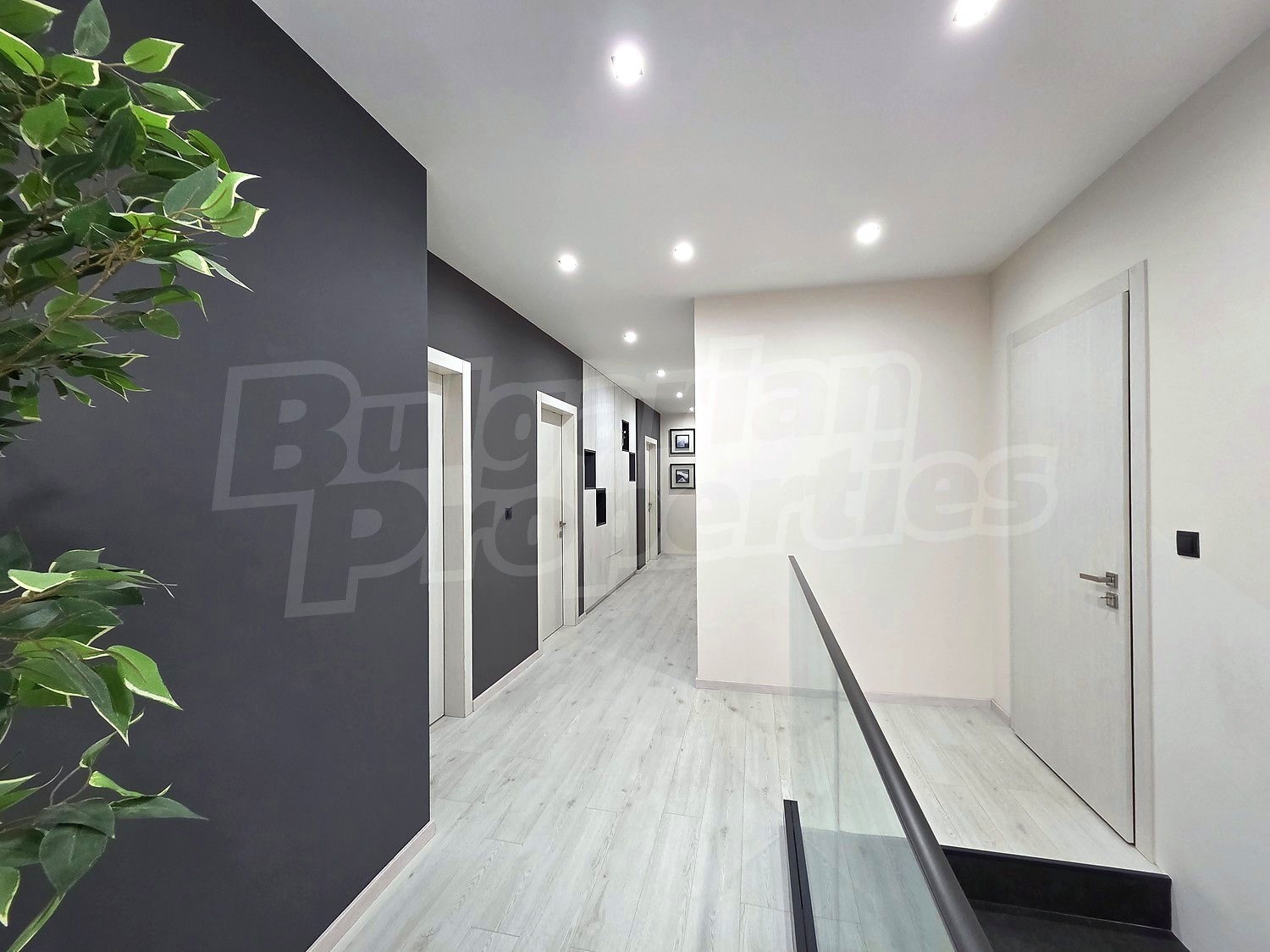 Gallery Picture 7