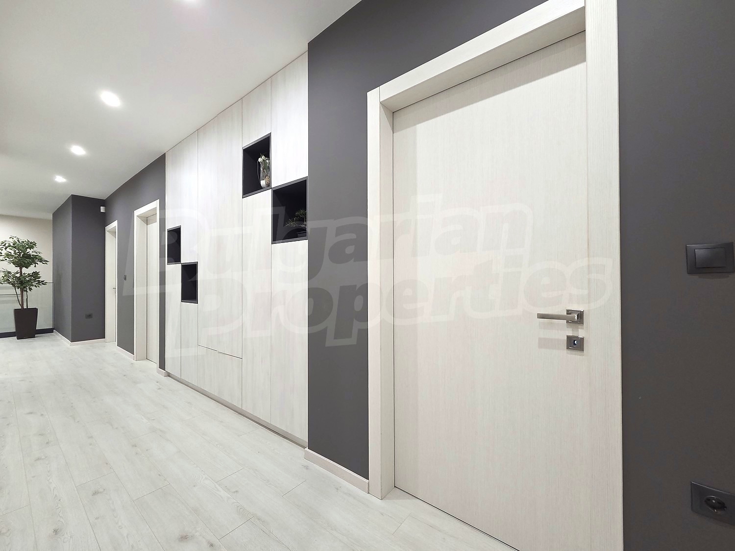Gallery Picture 11