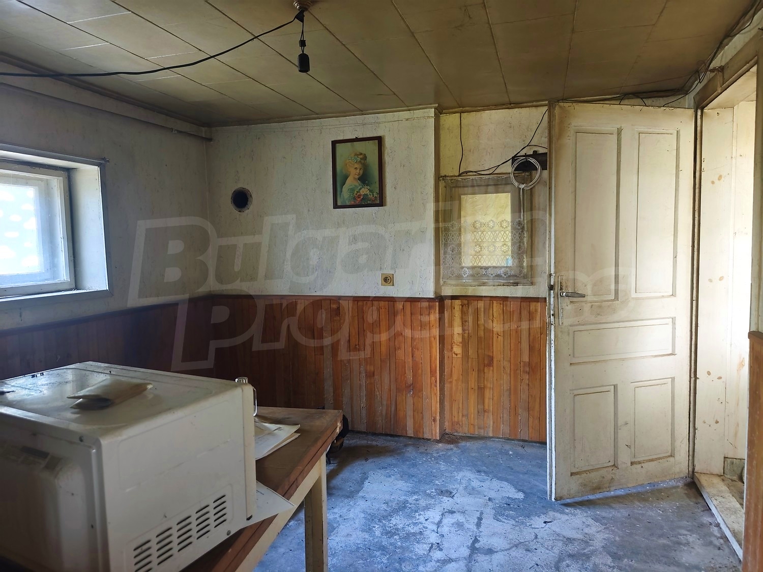 Gallery Picture 19