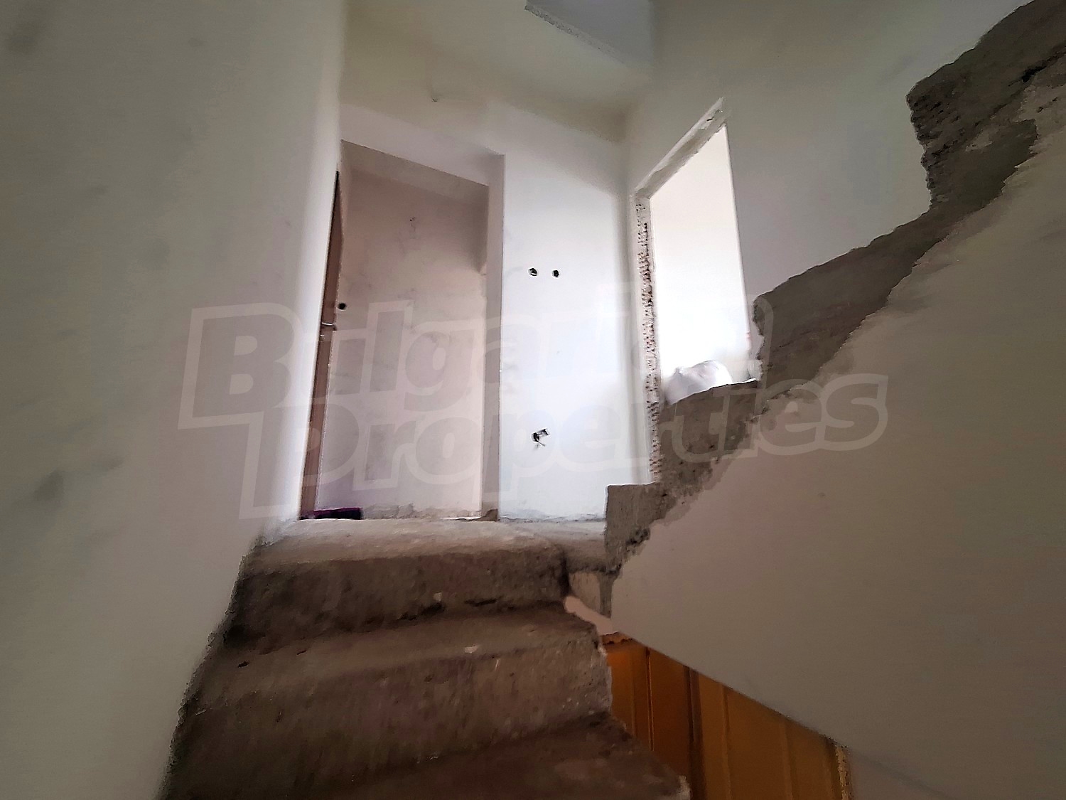 Gallery Picture 33