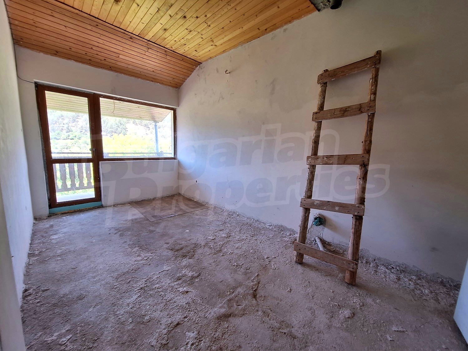 Gallery Picture 43