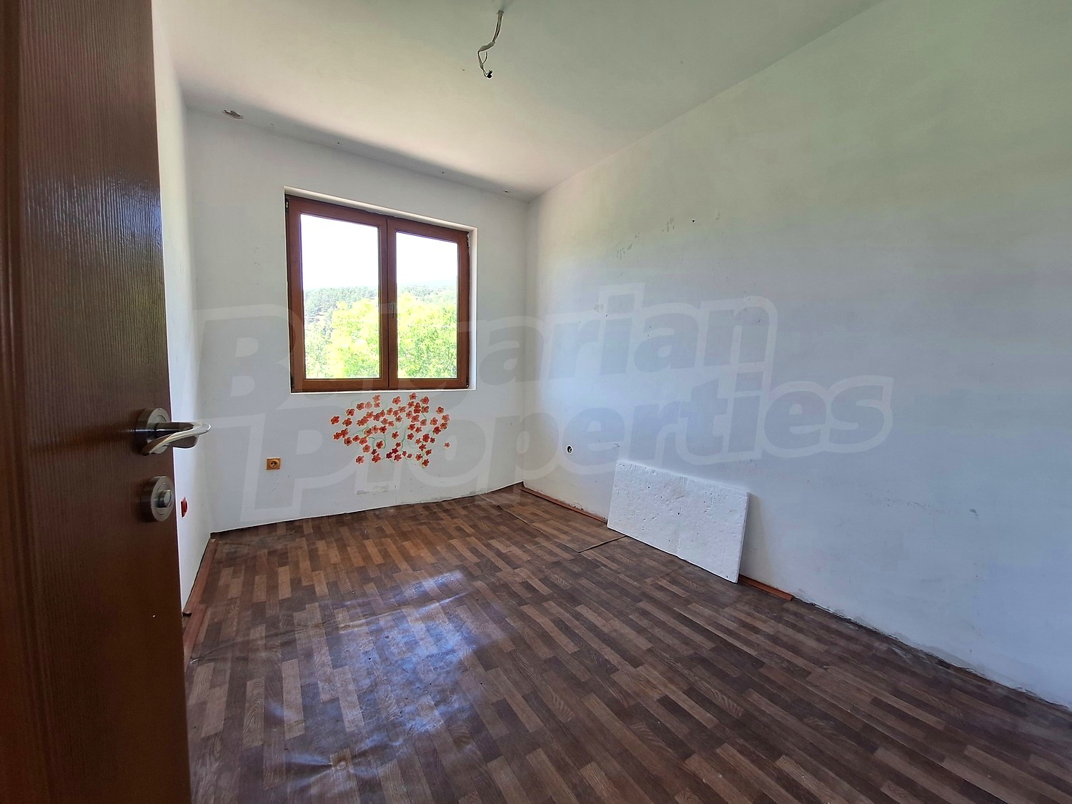 Gallery Picture 45