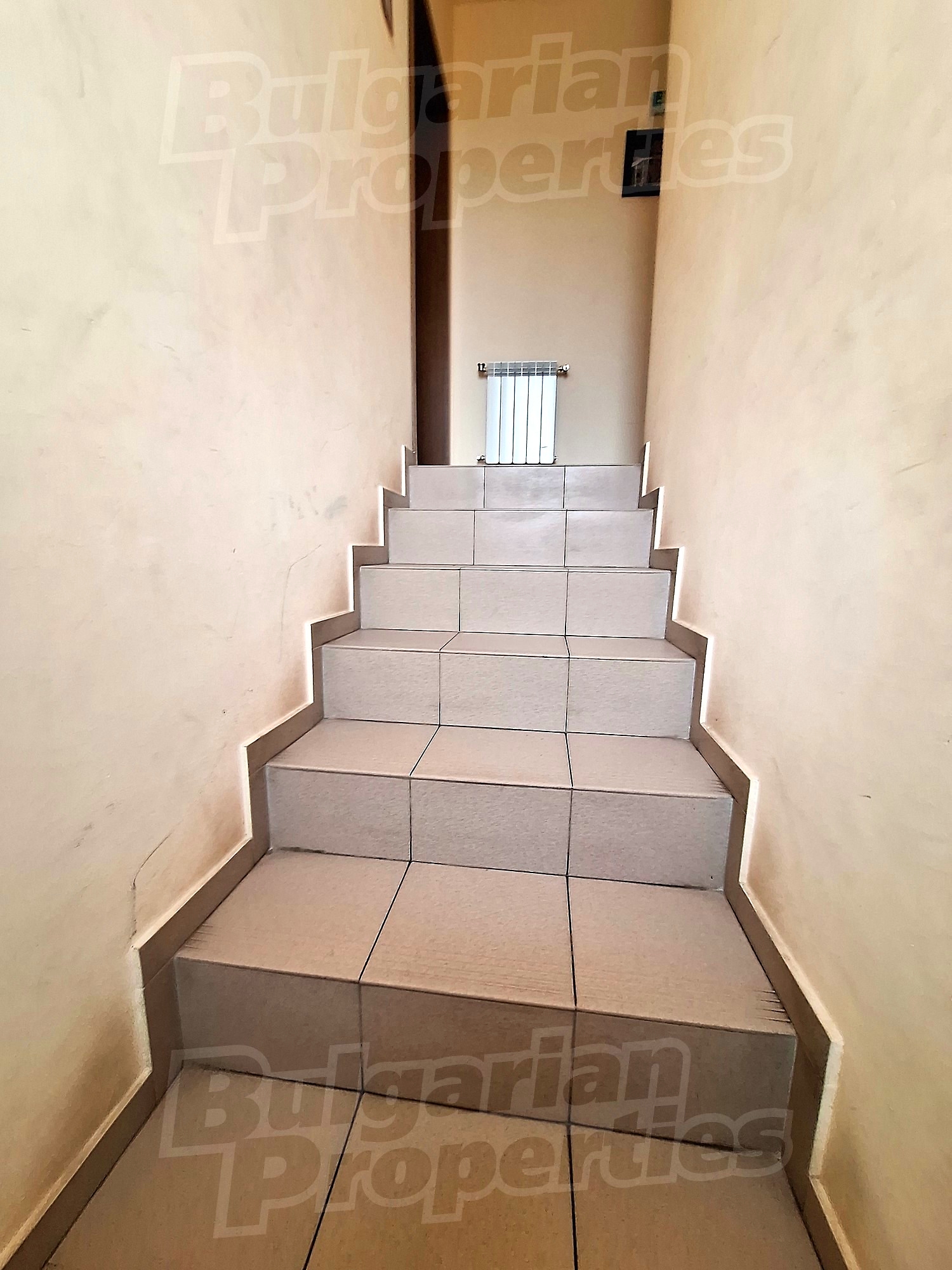 Gallery Picture 36