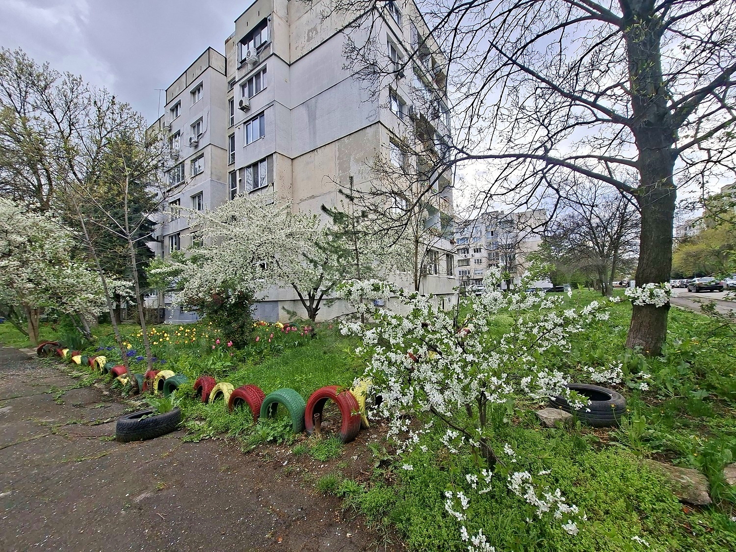 Gallery Picture 18