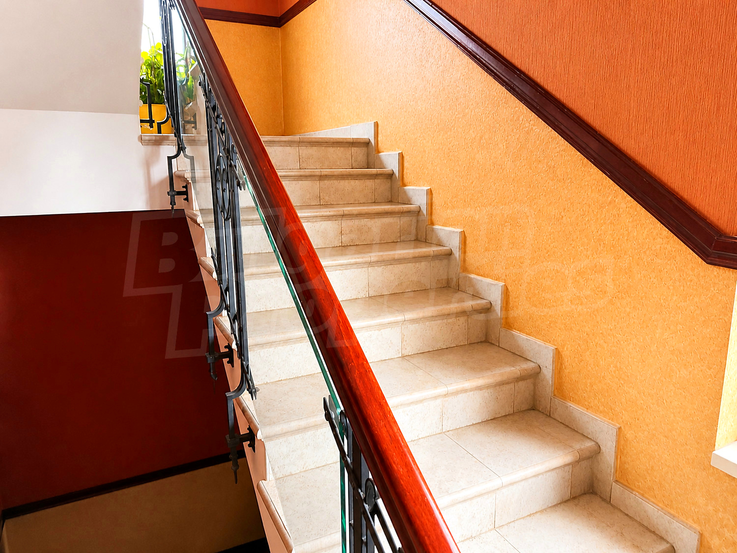 Gallery Picture 7