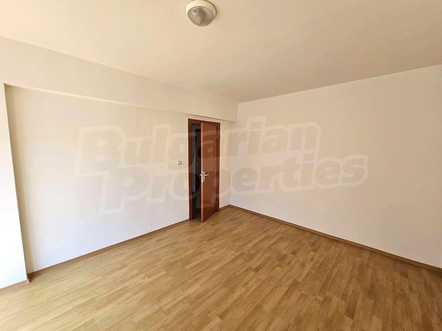 Gallery Picture 12