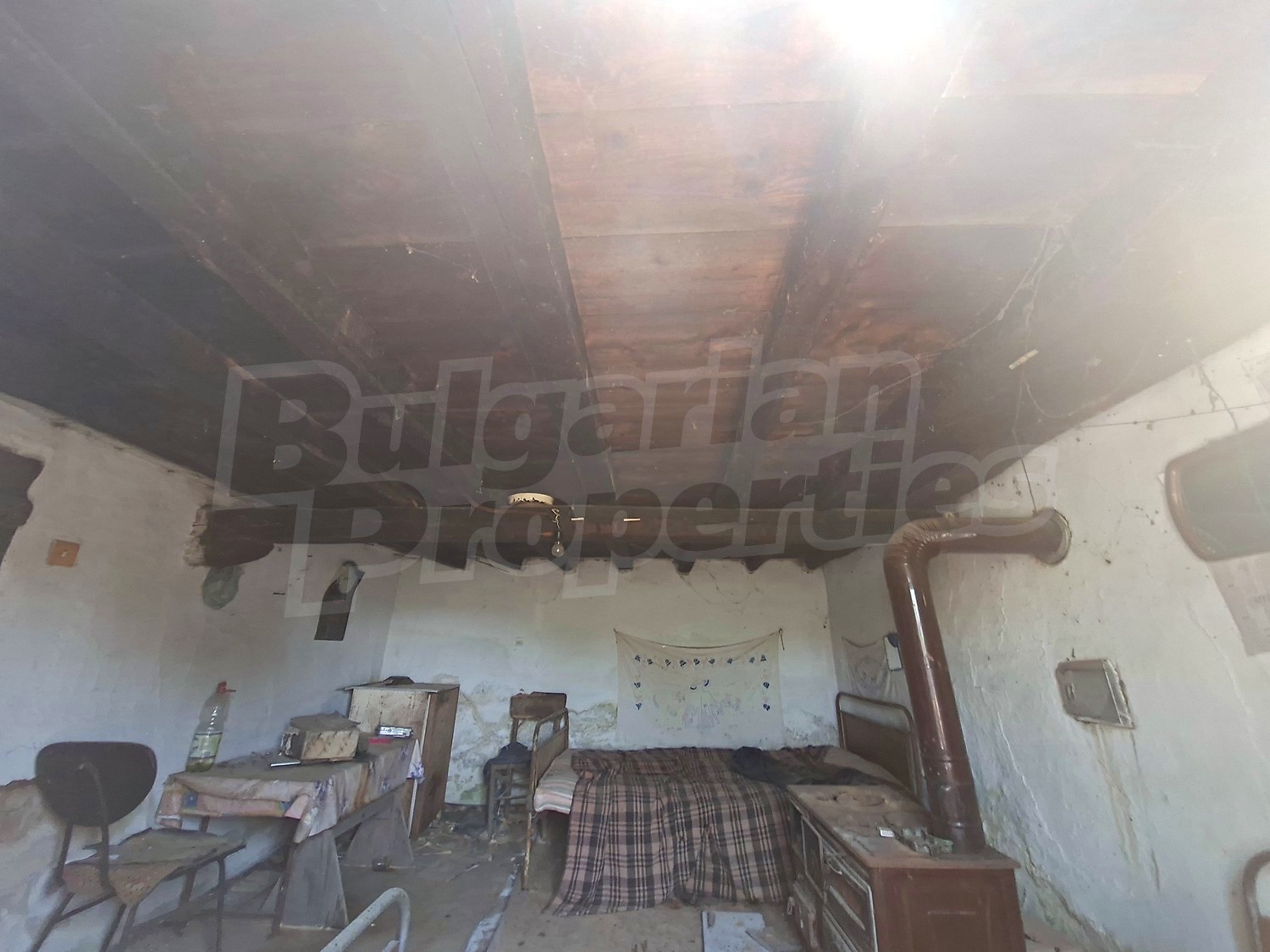 Gallery Picture 11