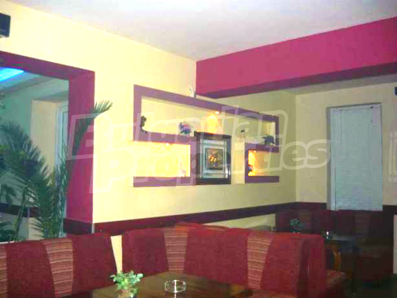 Gallery Picture 5