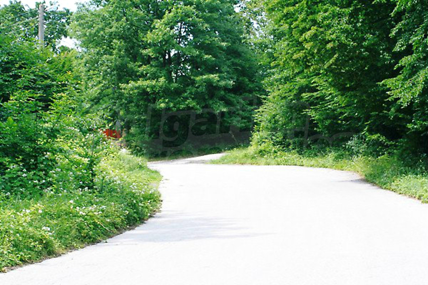 Gallery Picture 11