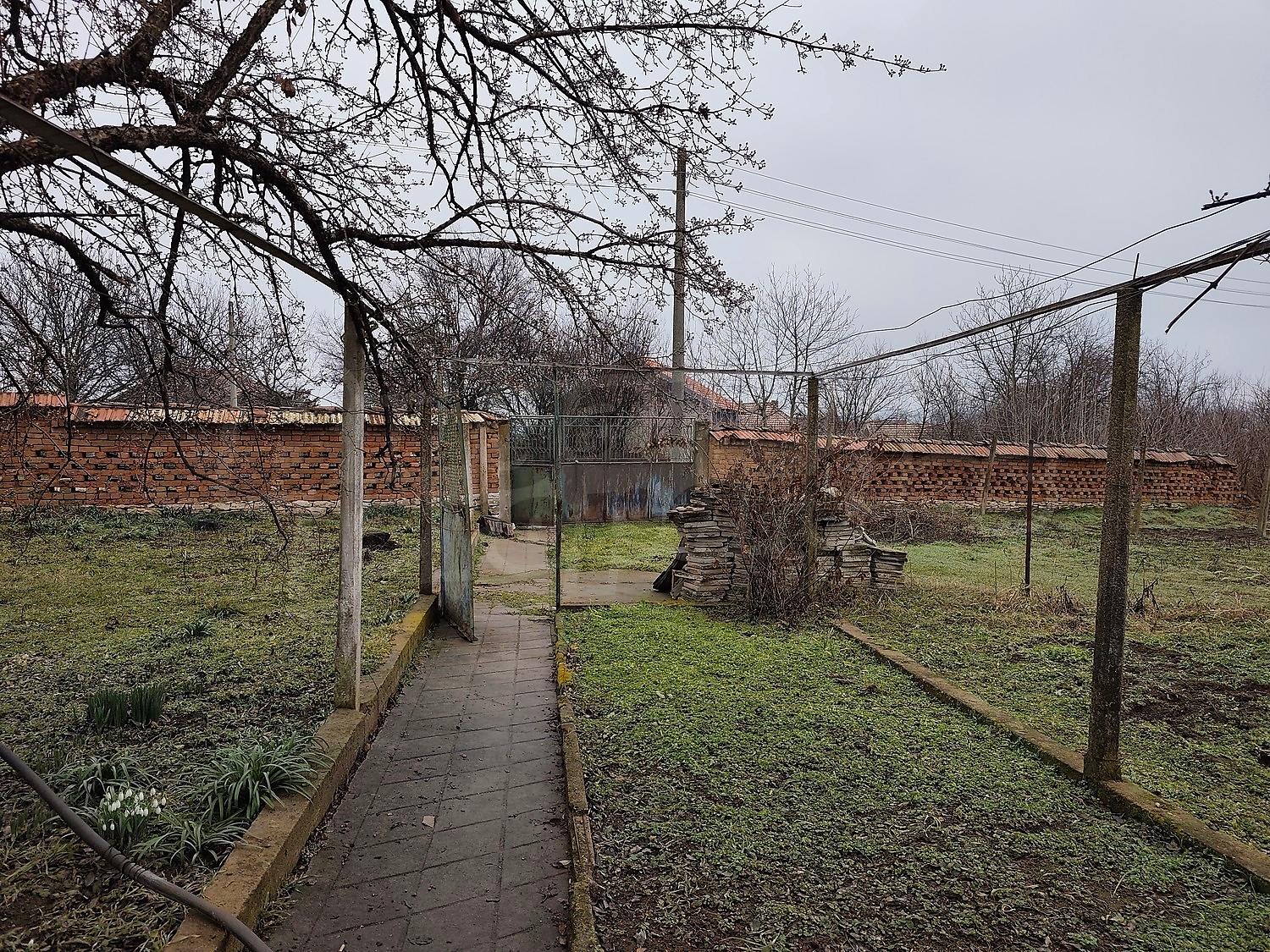 Gallery Picture 27