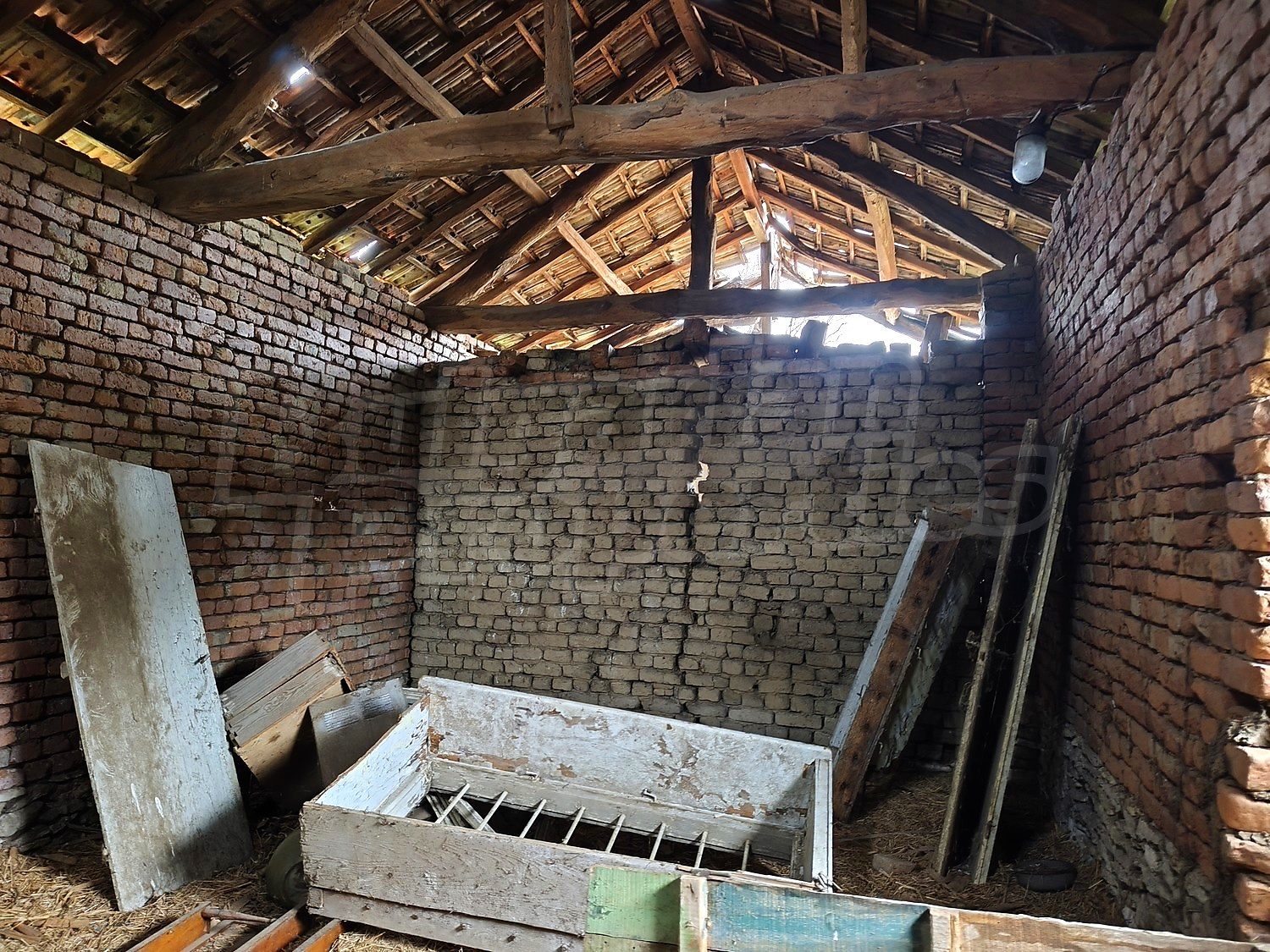 Gallery Picture 39