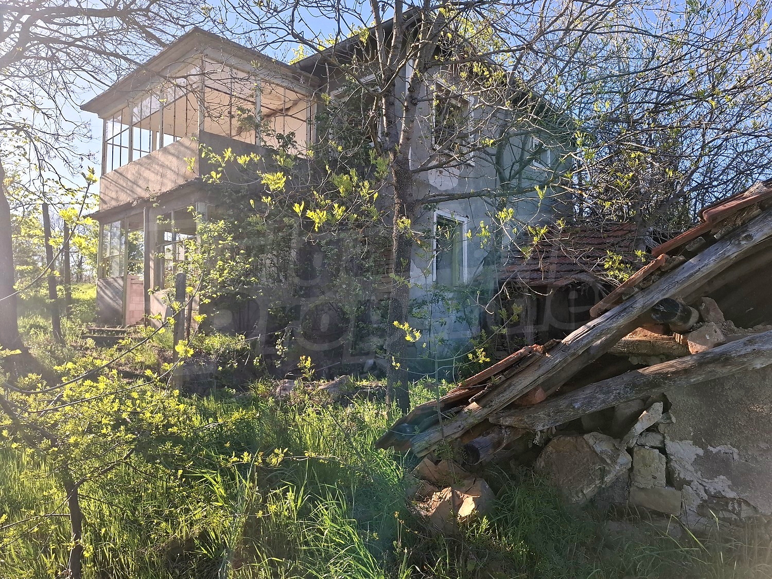 Gallery Picture 3