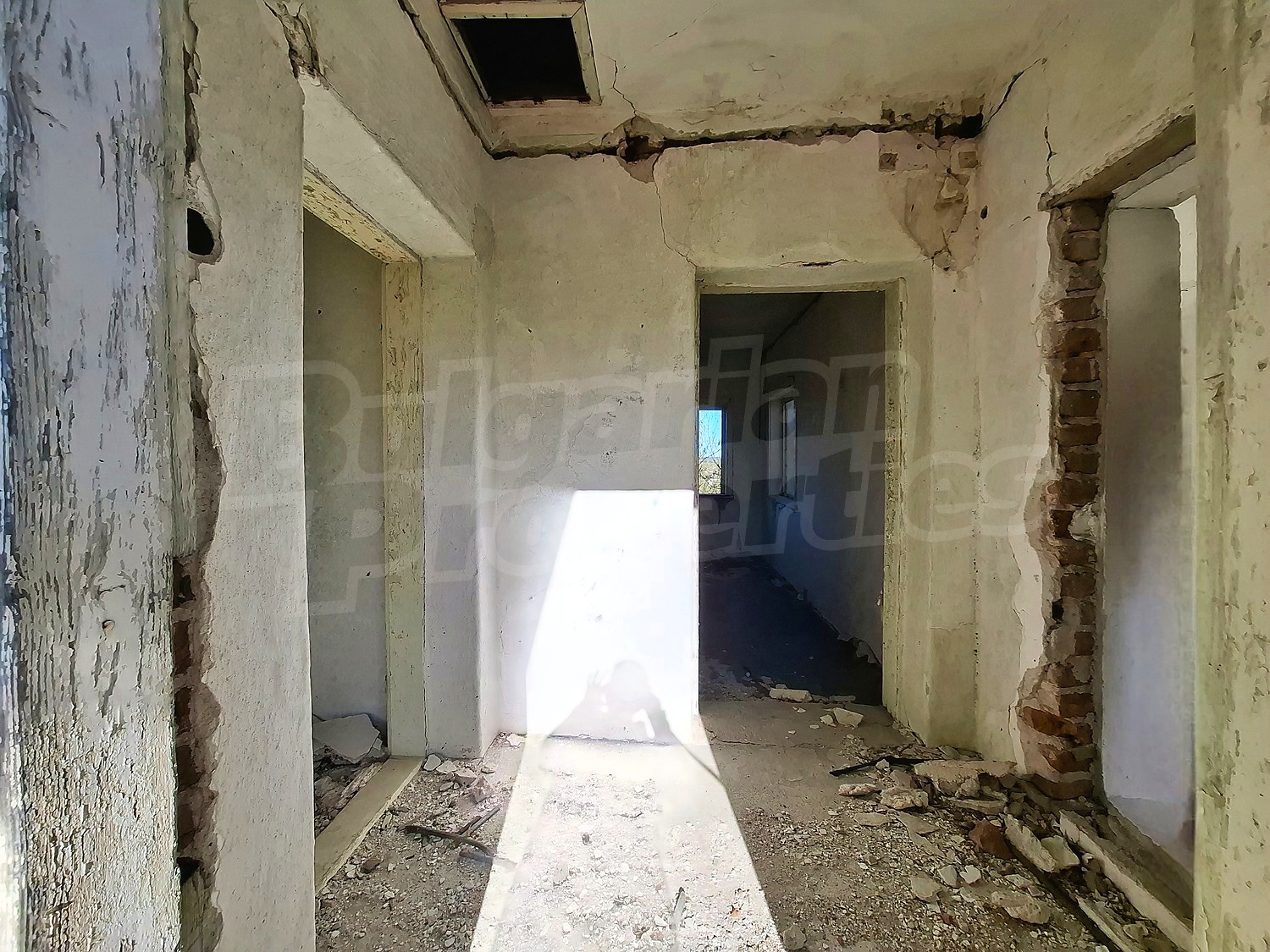 Gallery Picture 13