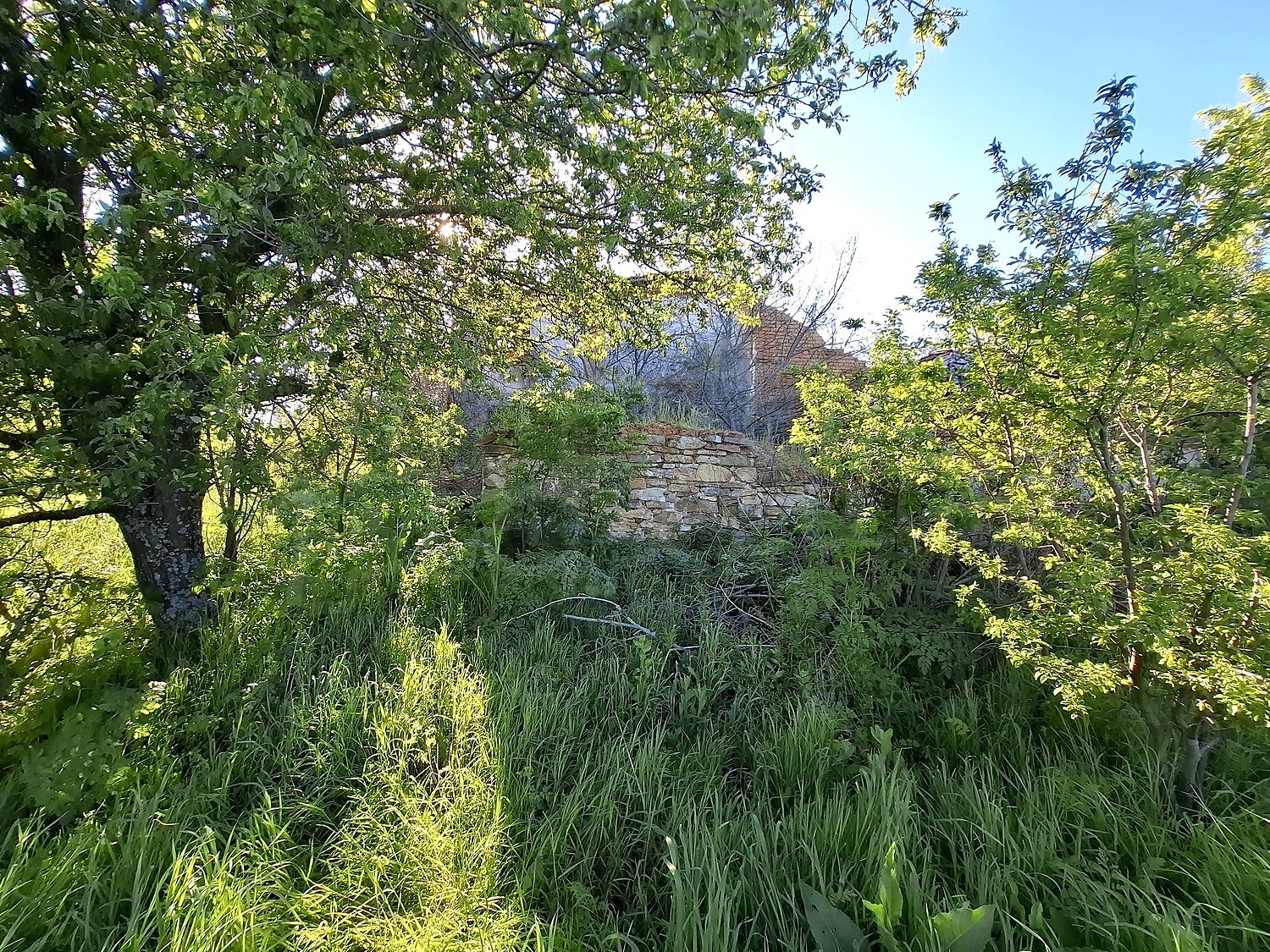 Gallery Picture 4