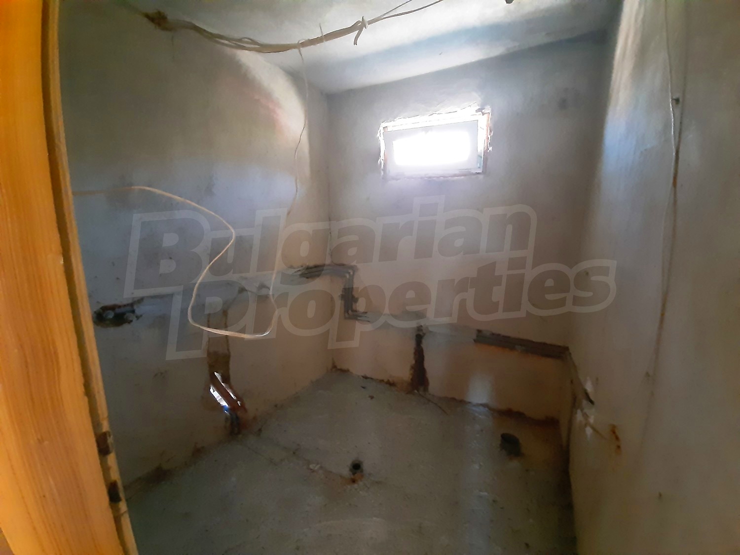 Gallery Picture 14