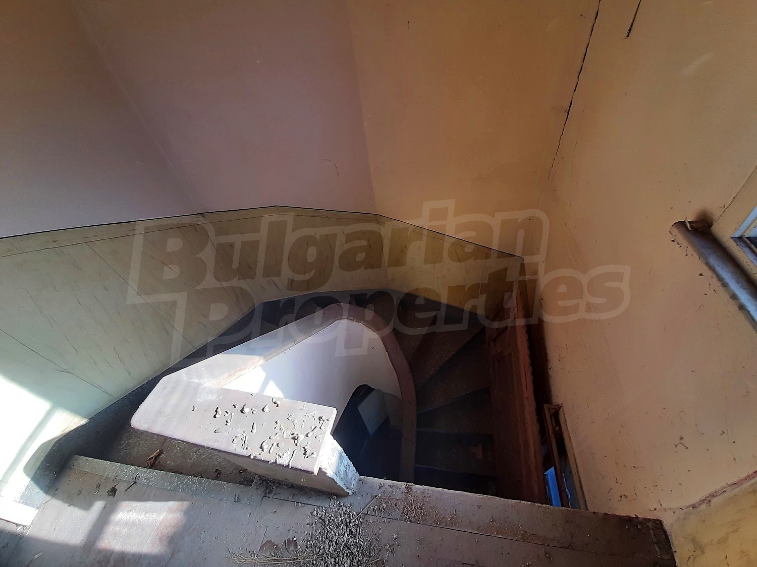 Gallery Picture 19