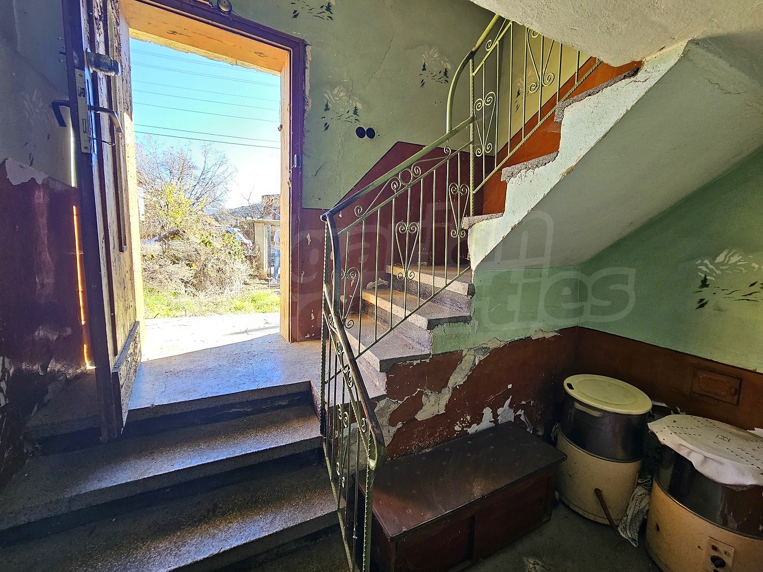 Gallery Picture 41