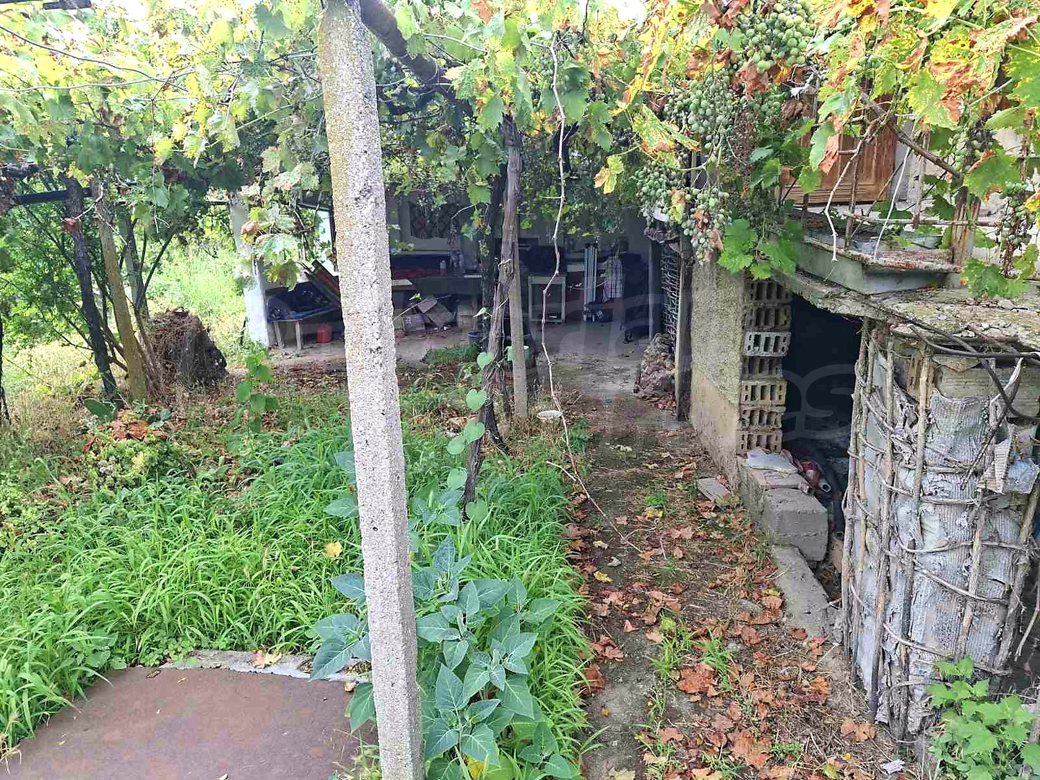 Gallery Picture 5