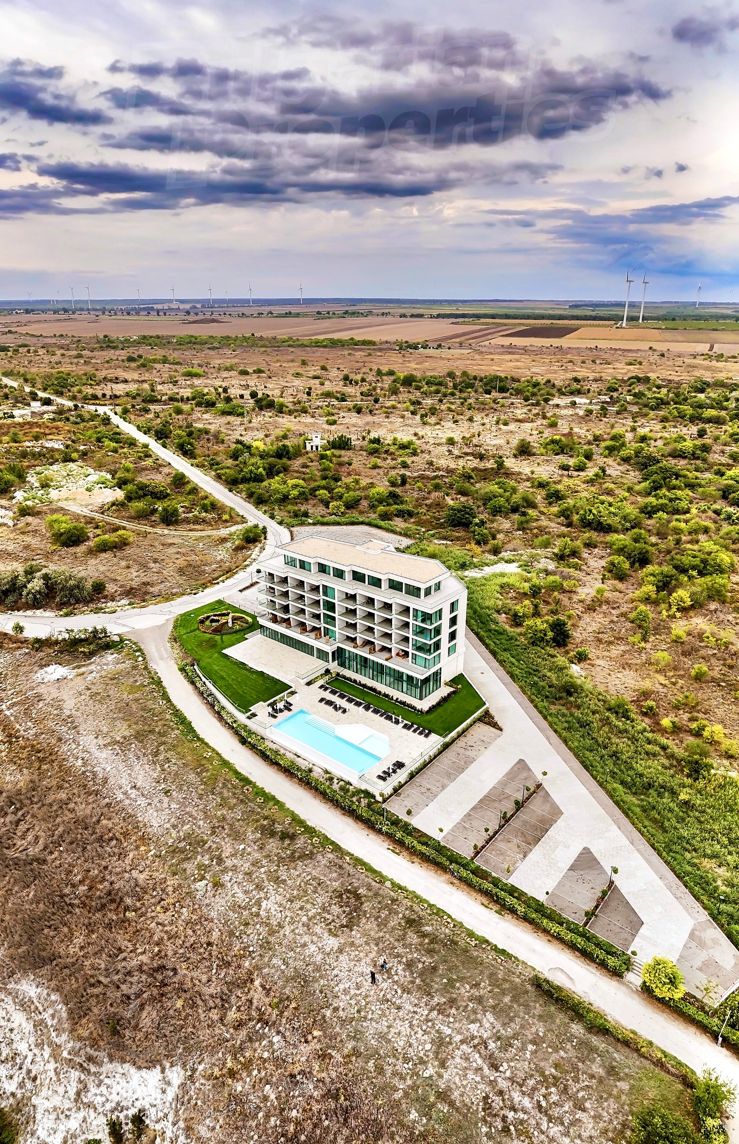 Gallery Picture 49
