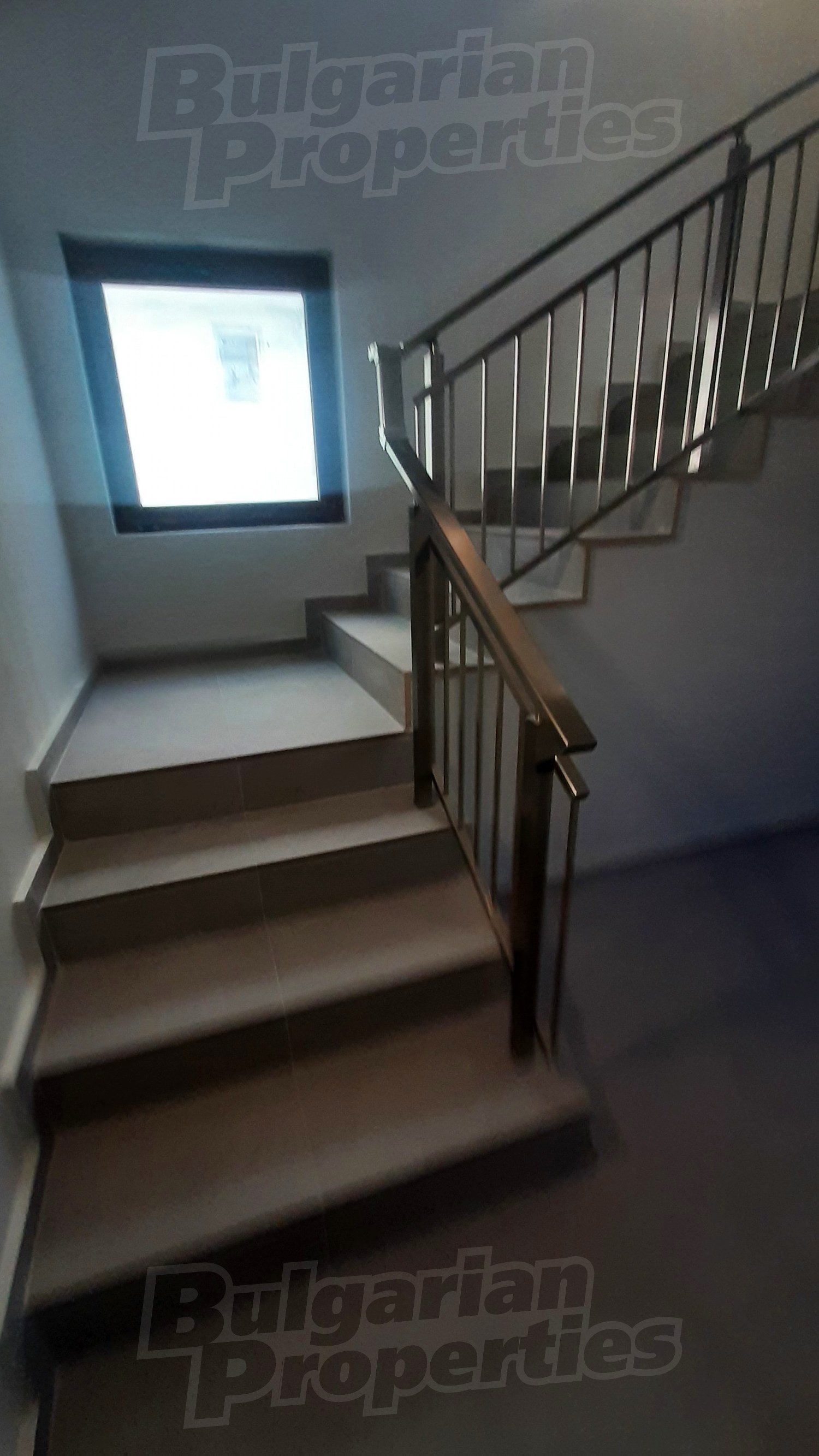 Gallery Picture 5