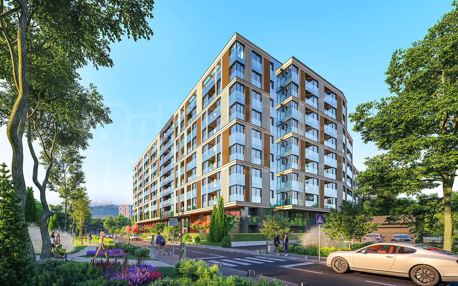 Gallery Picture 7