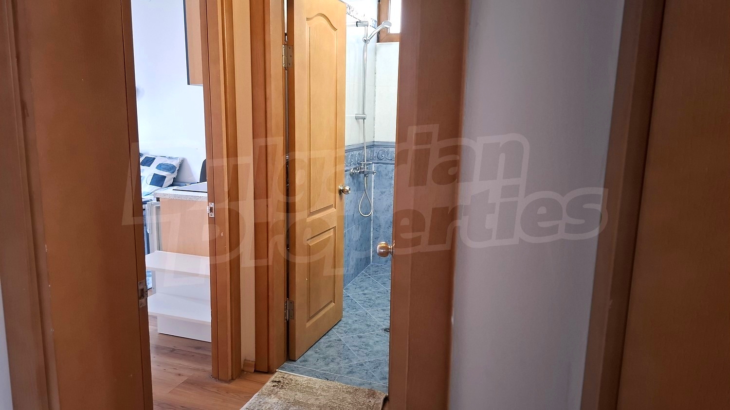 Gallery Picture 16
