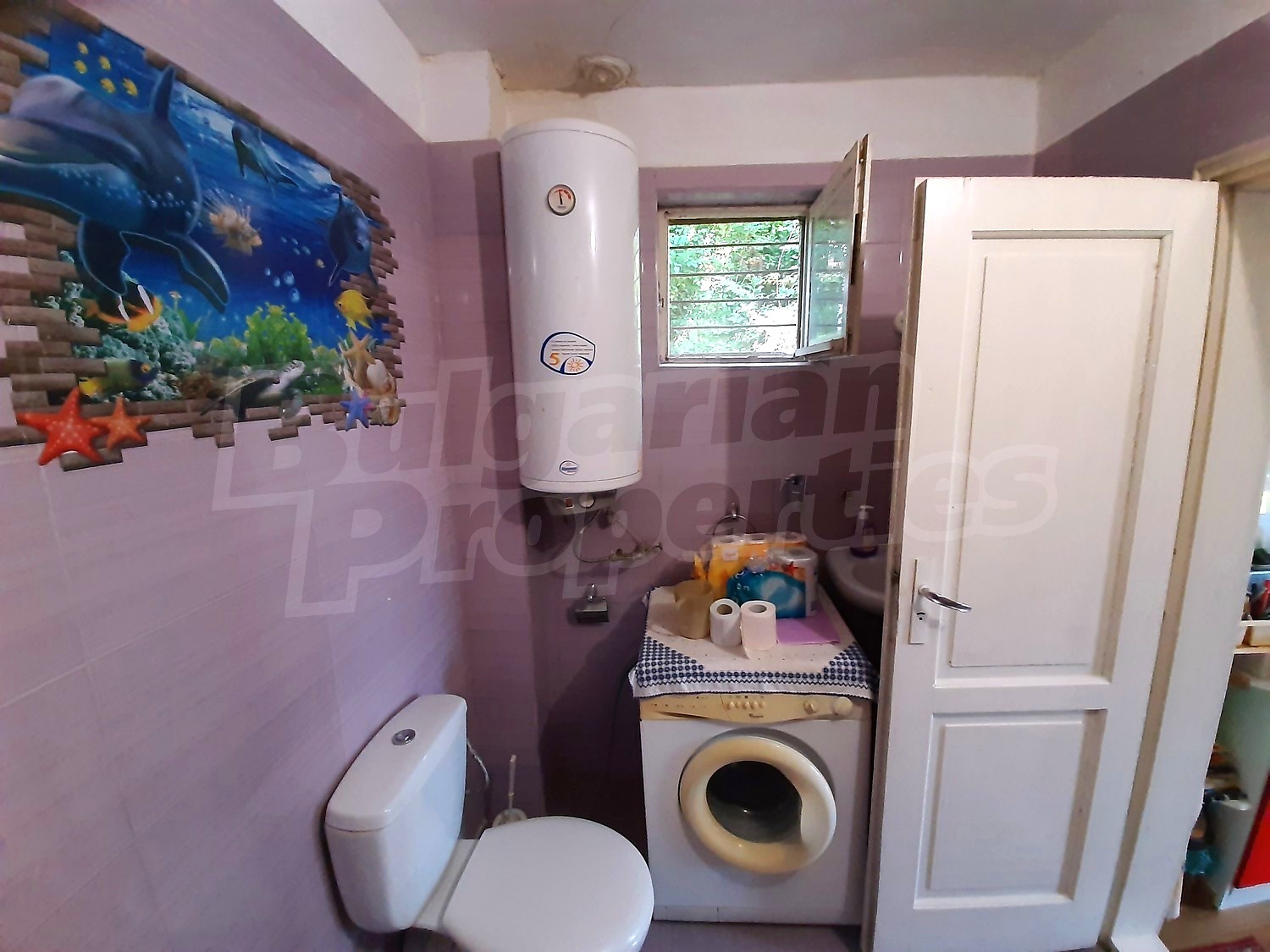 Gallery Picture 13
